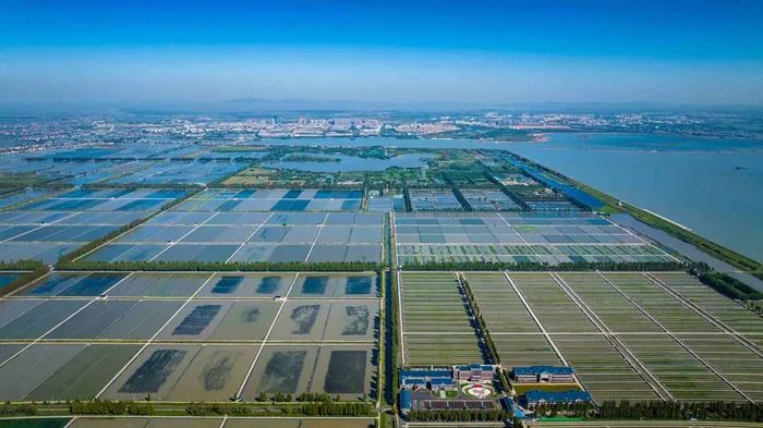 航拍高淳固城湖螃蟹核心區(qū)。高淳區(qū)融媒體中心供圖